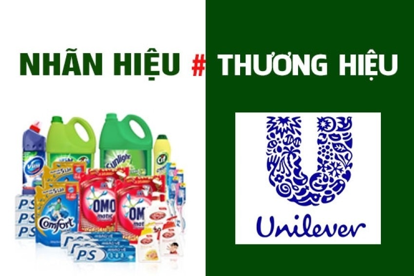  Sự Khác Biệt Giữa Thương Hiệu Và Nhãn Hiệu